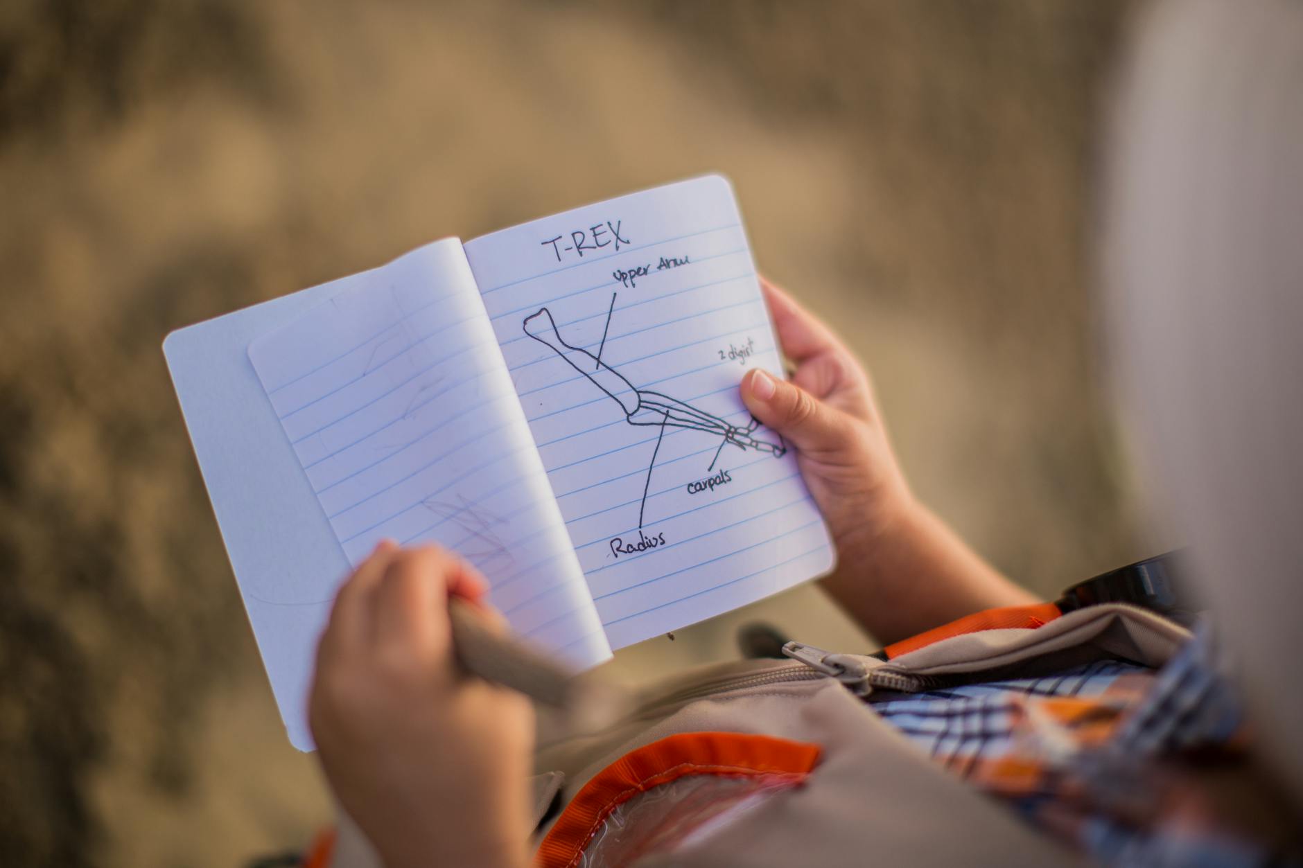 성년후견인 신청 양식