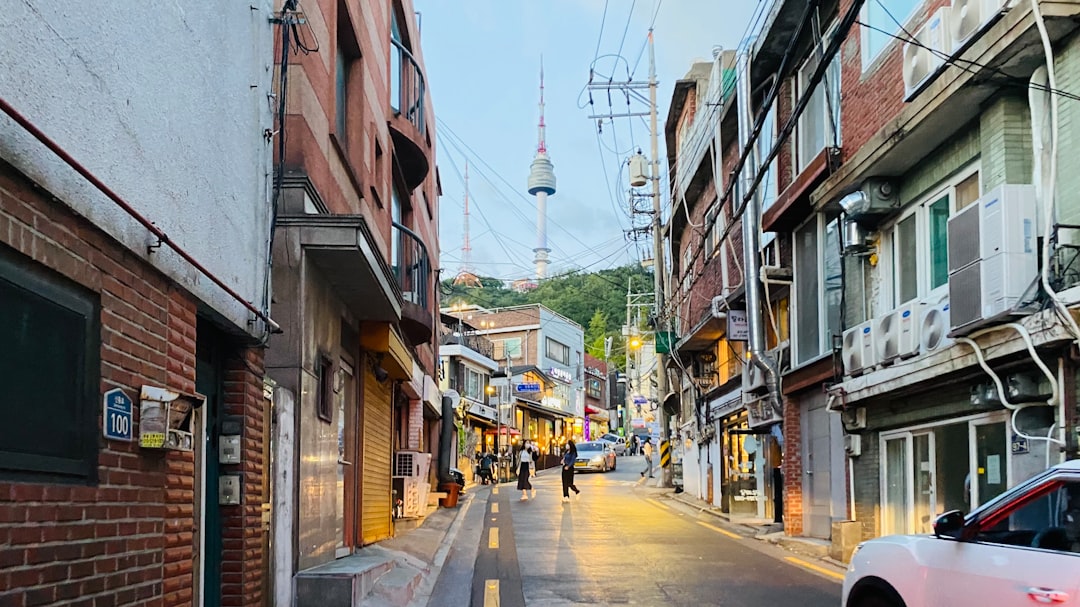 심장CT 참고 이미지 2