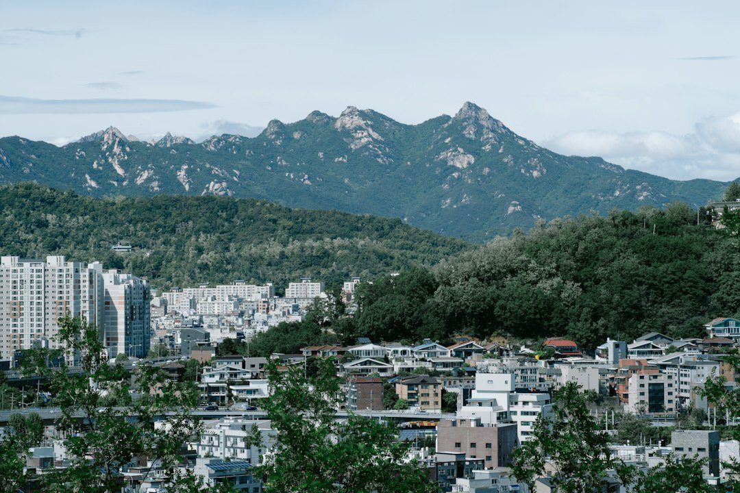 산삼선물세트 참고 이미지 2