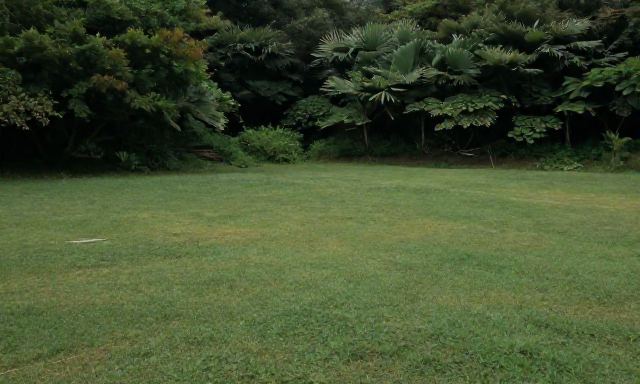산림치유지도사 참고 이미지 2