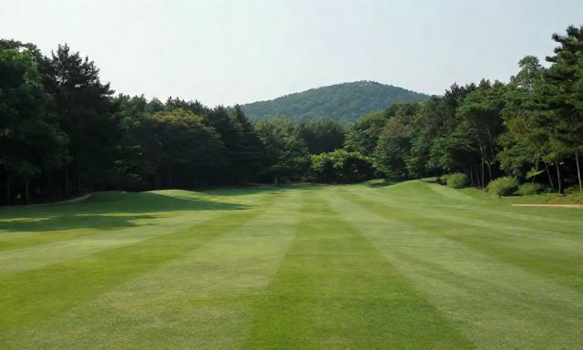 리솜포레스트조식 관련 이미지 - 리솜포레스트 조식 메뉴 및 이용 방법 완벽 가이드